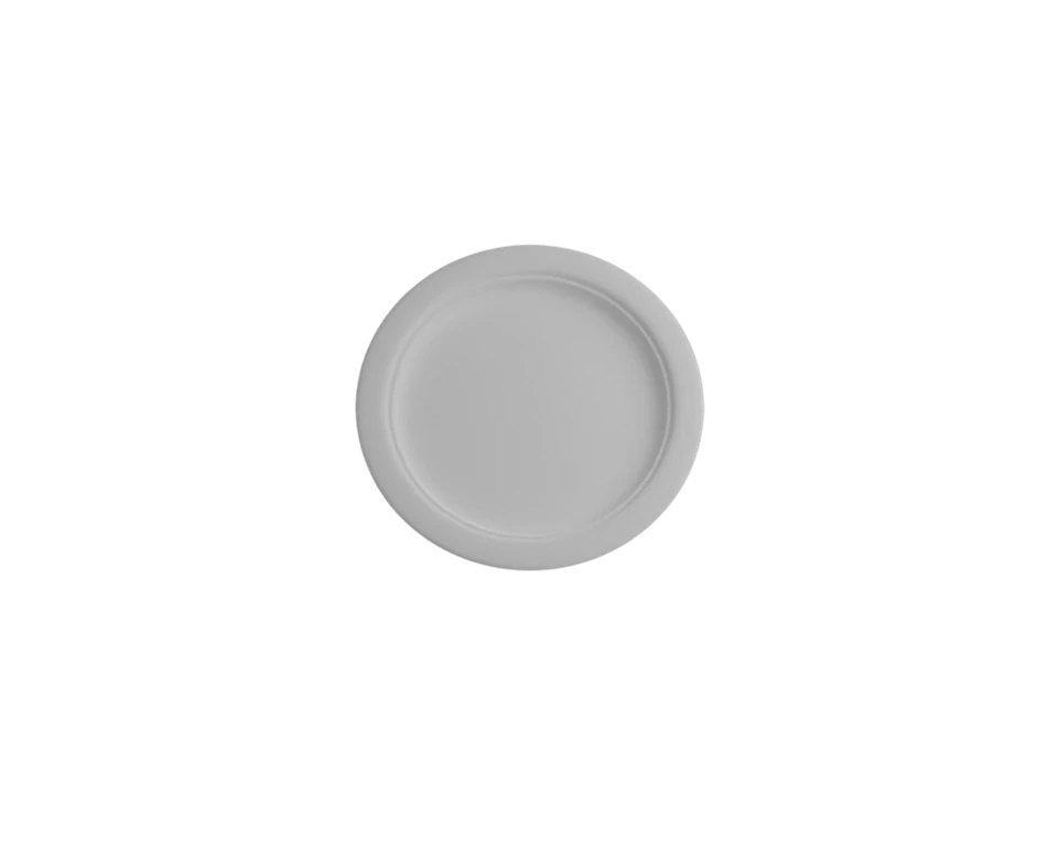 Biodegradable Party Plates high quality