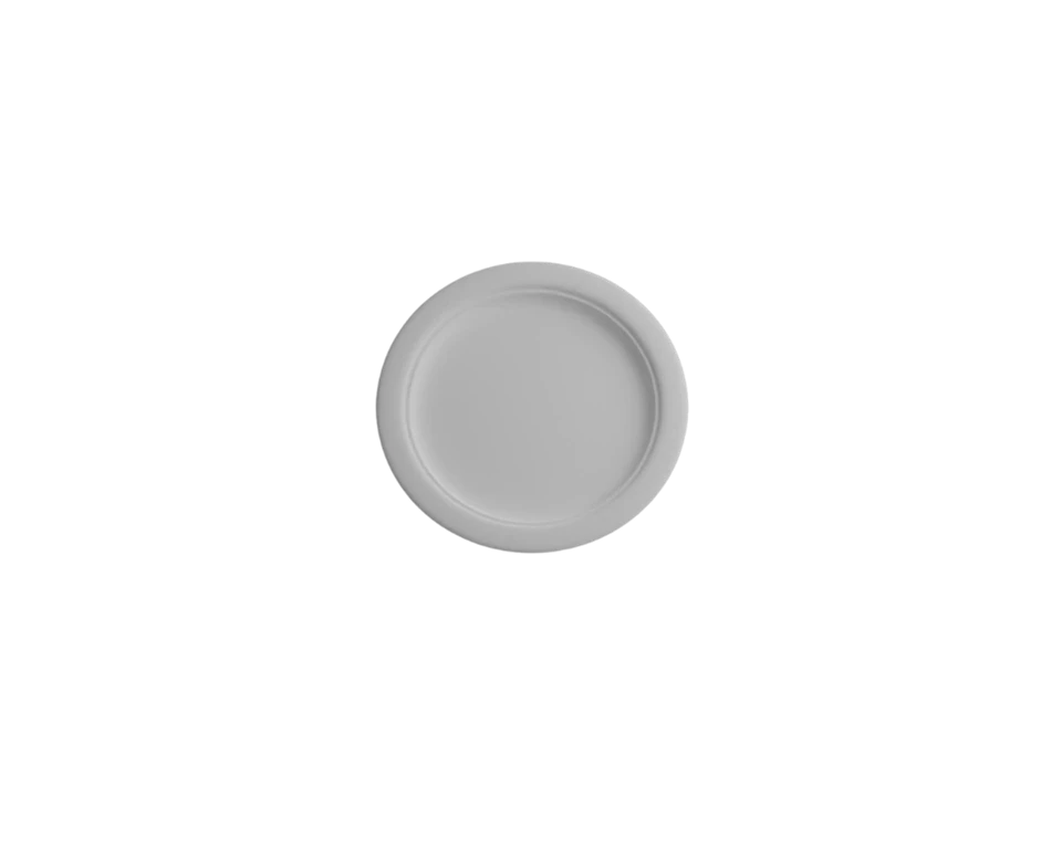 Biodegradable Party Plates best